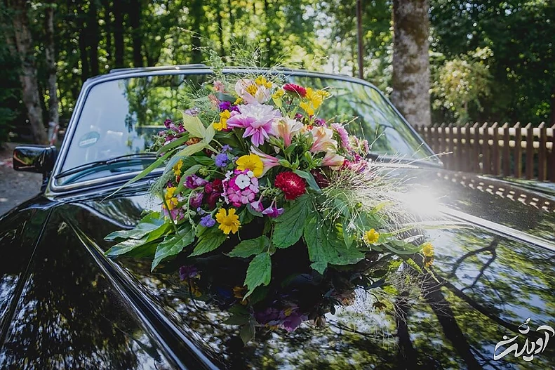 اجاره ماشین عروس اقدامی لاکچری شد/ اجاره مازراتی نصف قیمت پراید ۱۳۹۷